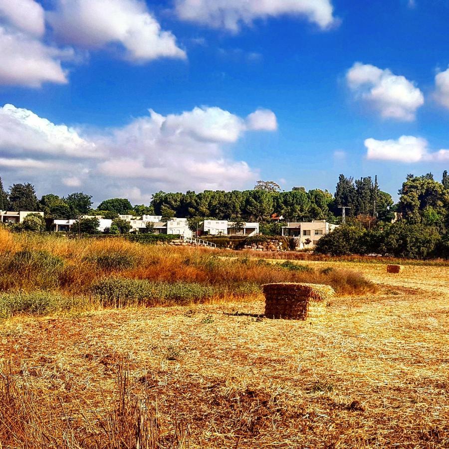 Kibbutz Nachshon Bed & Breakfast Exterior photo