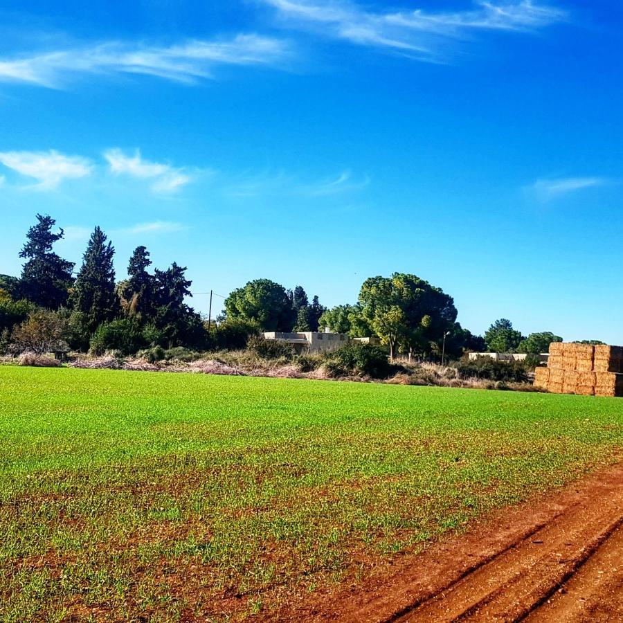 Kibbutz Nachshon Bed & Breakfast Exterior photo