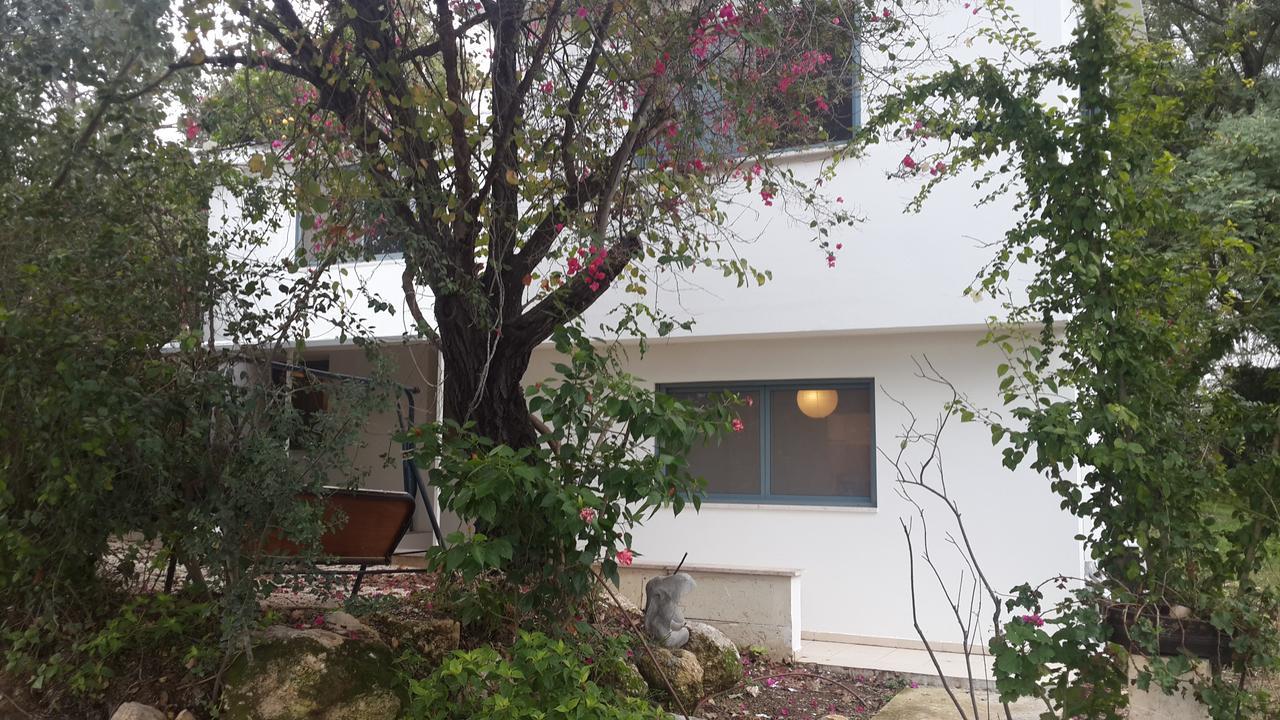 Kibbutz Nachshon Bed & Breakfast Exterior photo